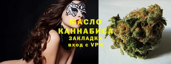 крисы Мегион