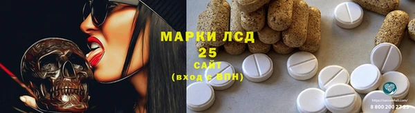 PSILOCYBIN Алексеевка
