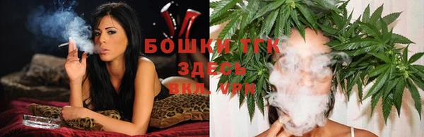 ГАЛЛЮЦИНОГЕННЫЕ ГРИБЫ Абаза
