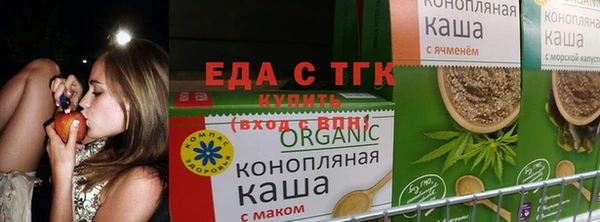 PSILOCYBIN Алексеевка