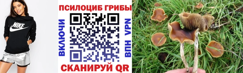 Псилоцибиновые грибы Psilocybine cubensis  блэк спрут ссылка  Златоуст 