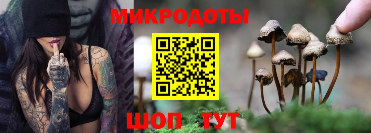 Галлюциногенные грибы Psilocybe Златоуст