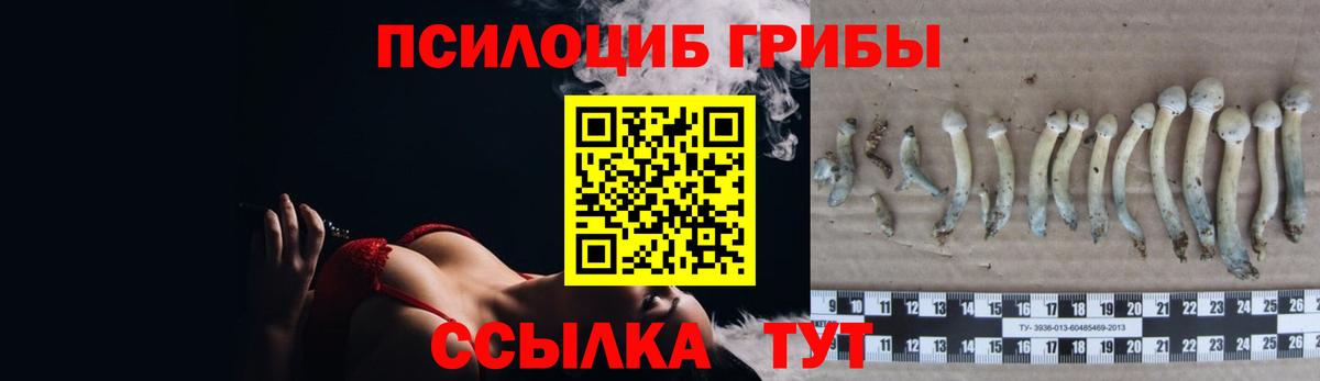 Галлюциногенные грибы ЛСД  Вход с VPN  Галлюциногенные грибы Cubensis  Златоуст 